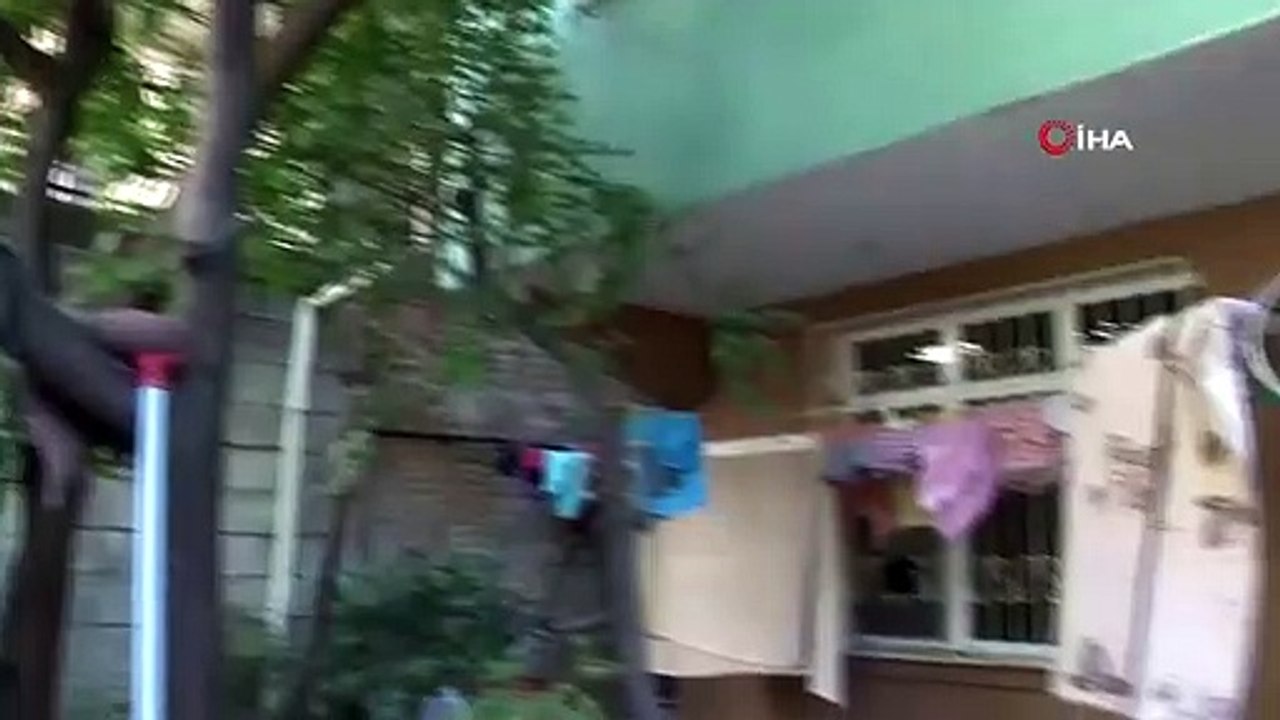 Adana'da böcek istilası! Bir mahalleyi hamam böcekleri sardı