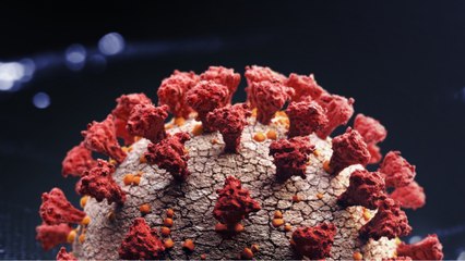 Bluetooth Could Turn Wearables Into COVID Trackers