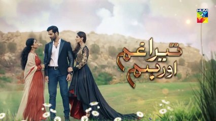 Tera Ghum Aur Hum Episode 16 Promo HUM TV Drama