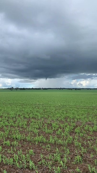 Funnel Forms Above Farmer's Crops