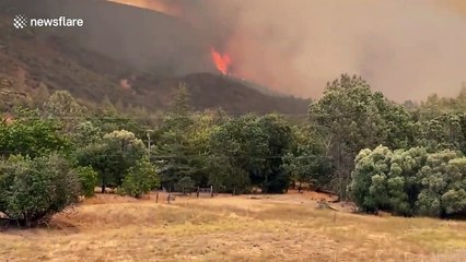 Planes dump fire retardant on blaze ravaging Napa County, California