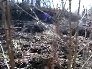 Source du DOME près de Vichy et d'un tas d'ordure..!