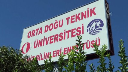 Yavru deniz kaplumbağaları ODTÜ güvencesiyle ilk adımlarını atıyor - MERSİN