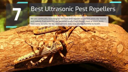 Best Ultrasonic Pest Repellers
