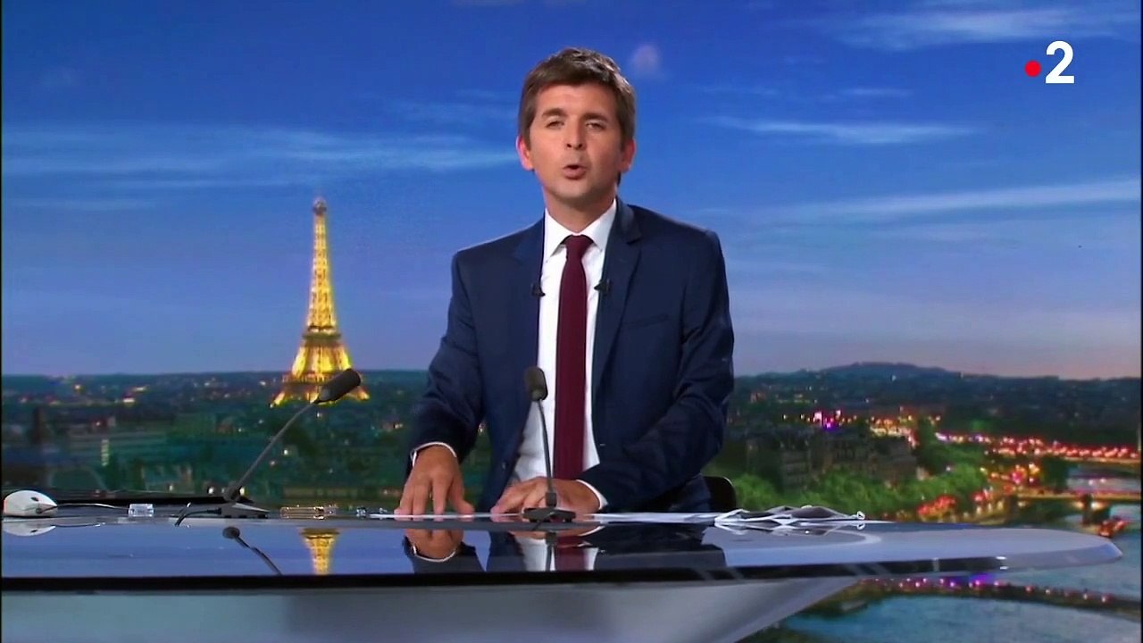 Dauphins échoués : les techniques de pêche mises en cause