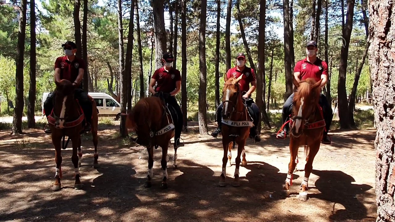 Aydos Orman'ında, yangınları önlemeye yönelik denetim yapıldı - İSTANBUL
