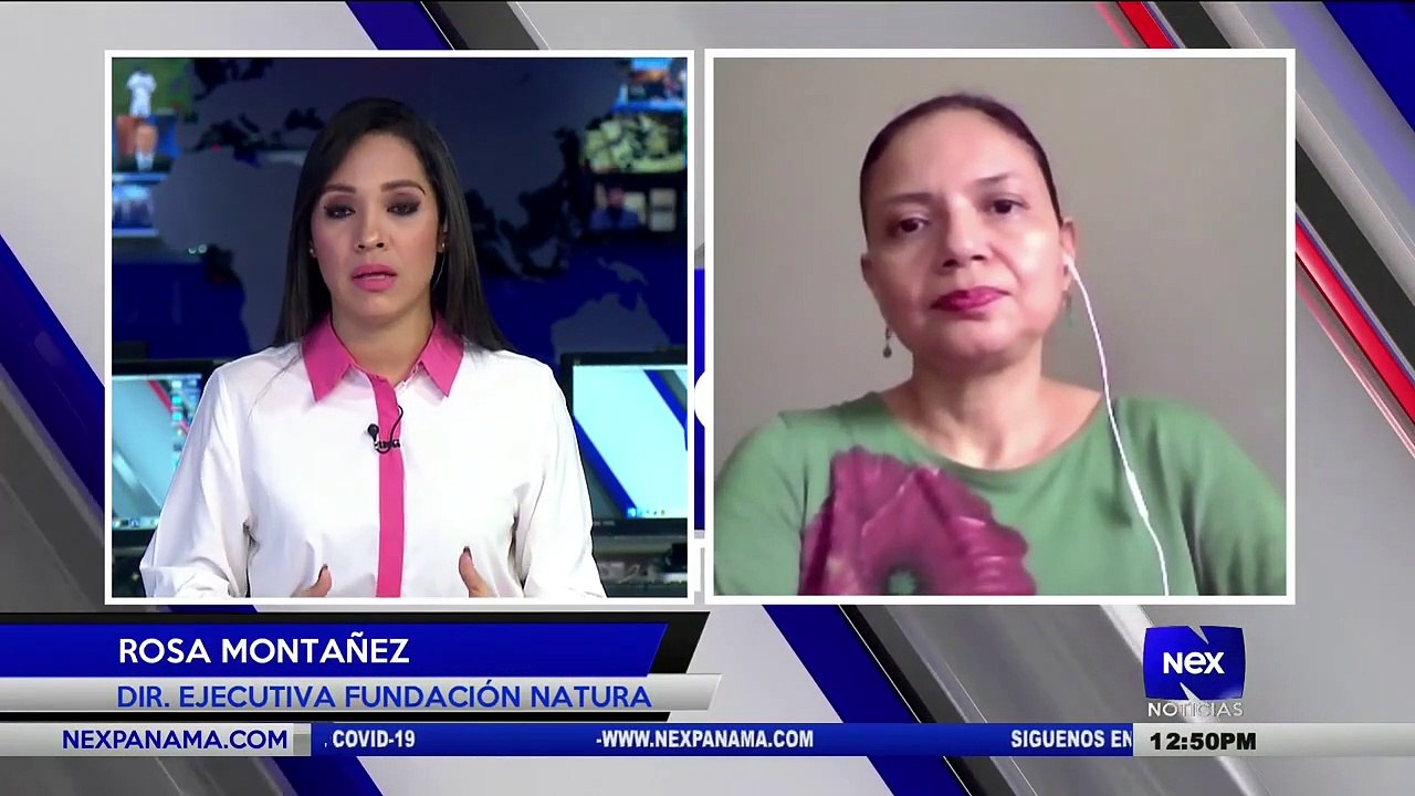 Entrevista a Rosa Montanez, Directora Ejecutiva de Fundación Natura  - Nex Noticias