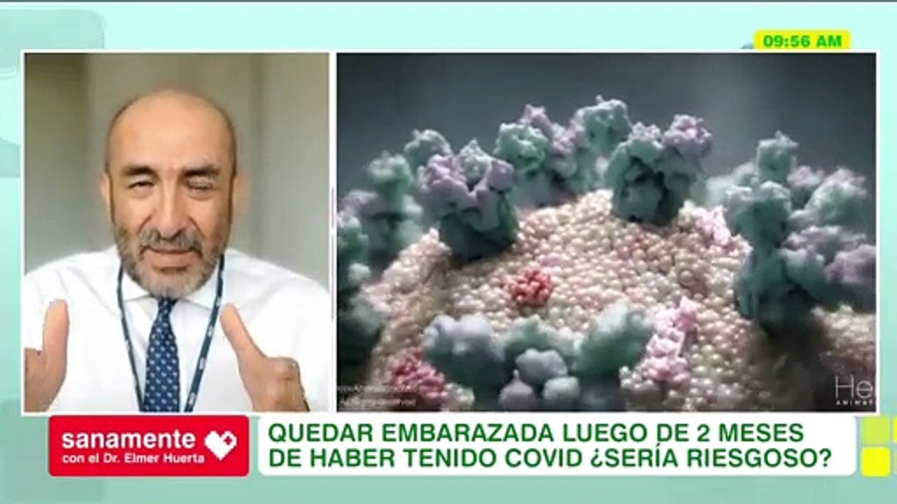 ¿Quedar embarazada luego de tener Covid-19? | Sanamente con el Doctor Elmer Huerta (HOY)
