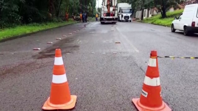 Rua no Bairro Country precisa ser interditada para corte de árvore que atingiu rede elétrica