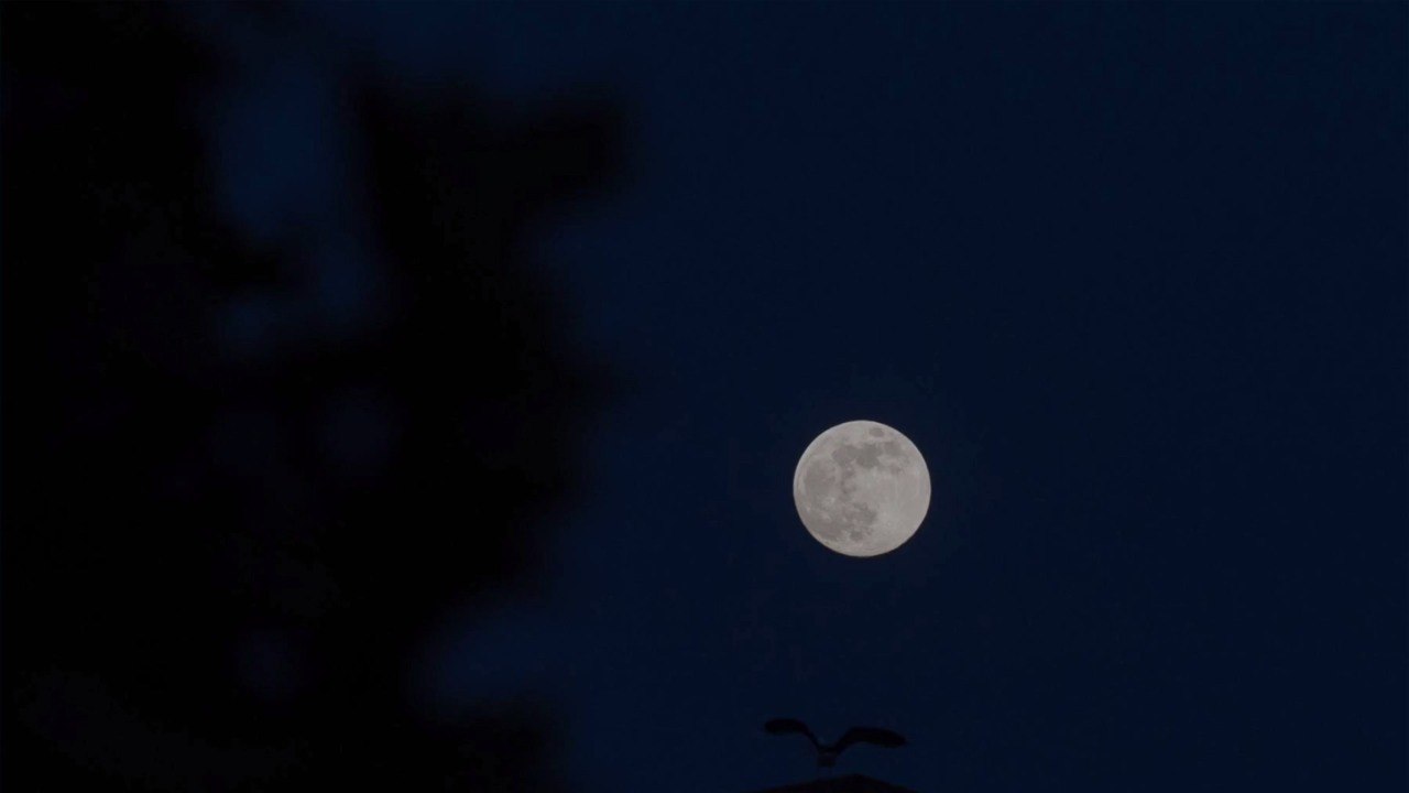 A Rare Blue Moon Will Light Up the Sky on Halloween This Year