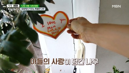 아들의 사랑이 담긴 올리브 나무