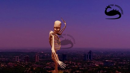 3D Skeleton Newton's law of motion | The Angryjungle, Mudassar Ayub