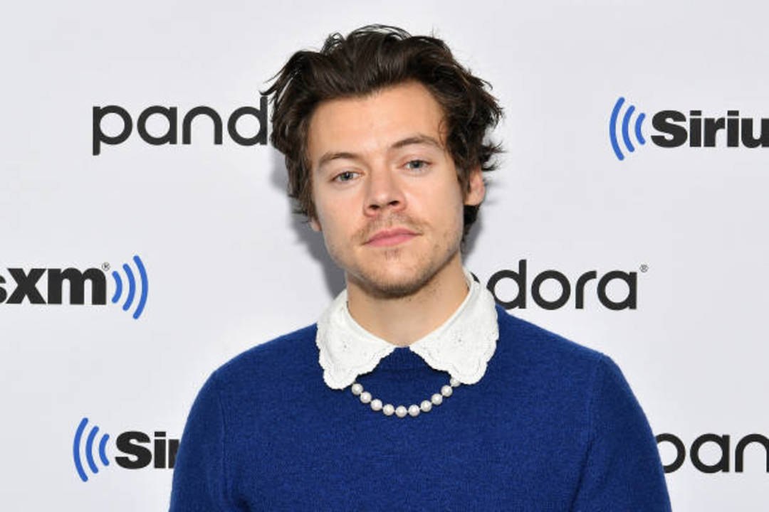 Brad Pitt and Harry Styles Will Reportedly Star In a Movie Together