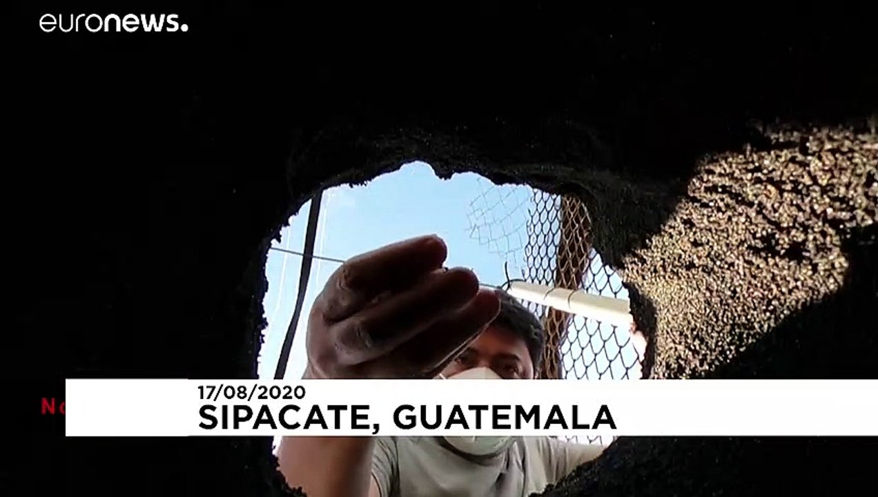 Covid-19 und die guatemaltekischen meeresschildkröten