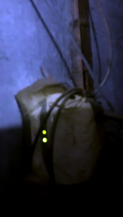 VID-20200819-WA0002