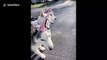 Dogs dressed as unicorns are walked by unicorn person because 2020