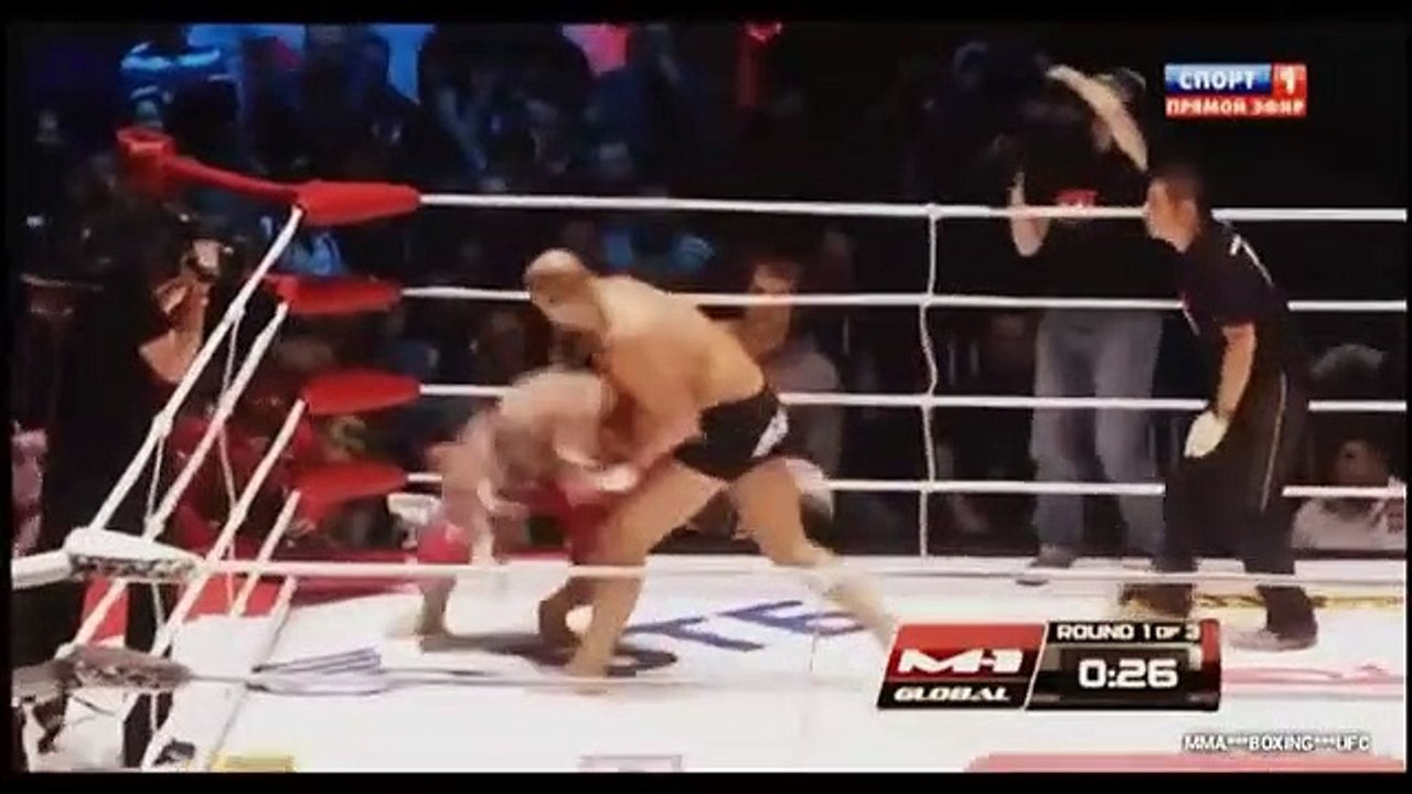 FEDOR EMELIANENKO TOP 25 BEST KNOCKOUTS IN MMA! HIGHLIGHTS AND KNOCKOUTS!