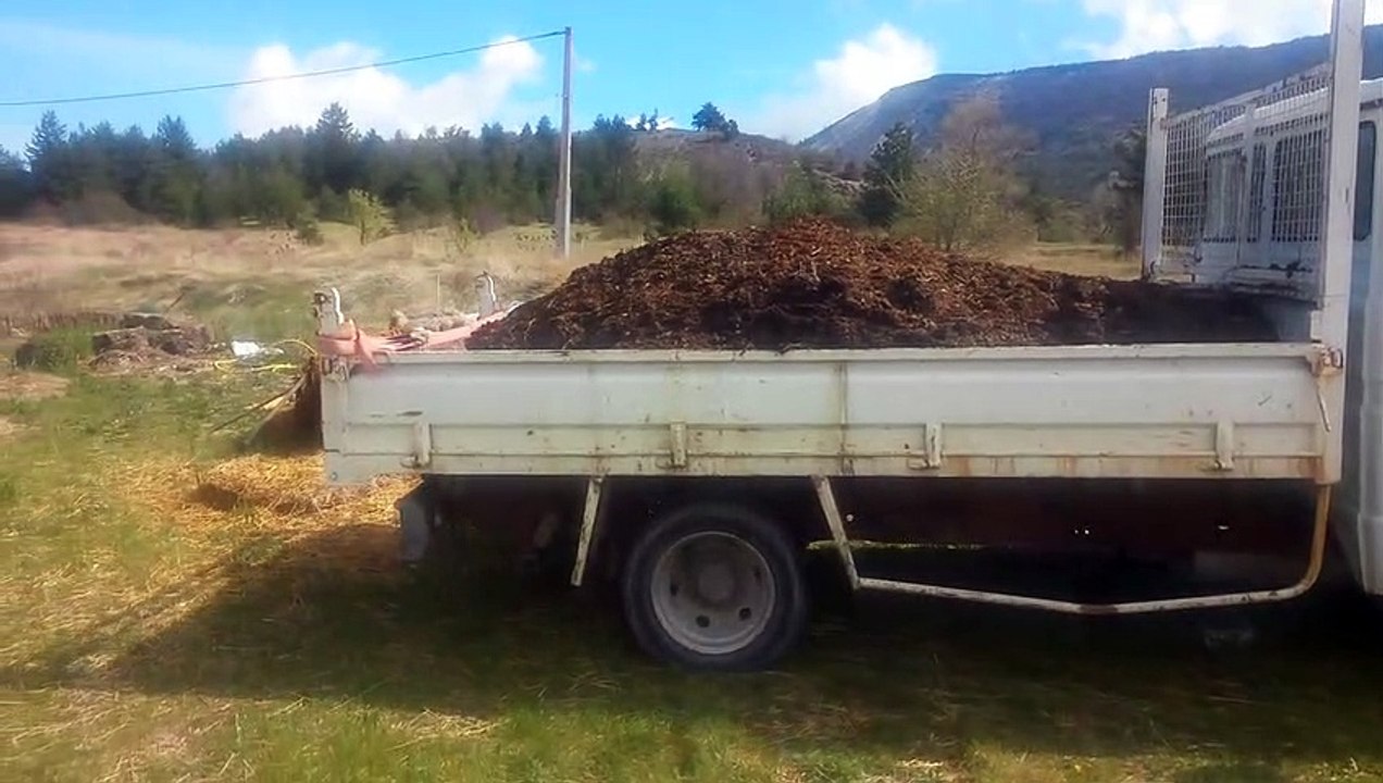 10.5.19 - le fumier de cheval pour le potager