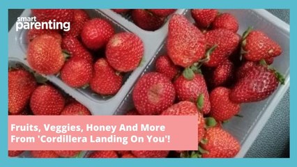 This Online Store Inspired By Crash Landing On You Is Bringing Cordillera Products To Manila