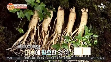 피부에 좋은 '00', 이것으로 피부를 지켜라!
