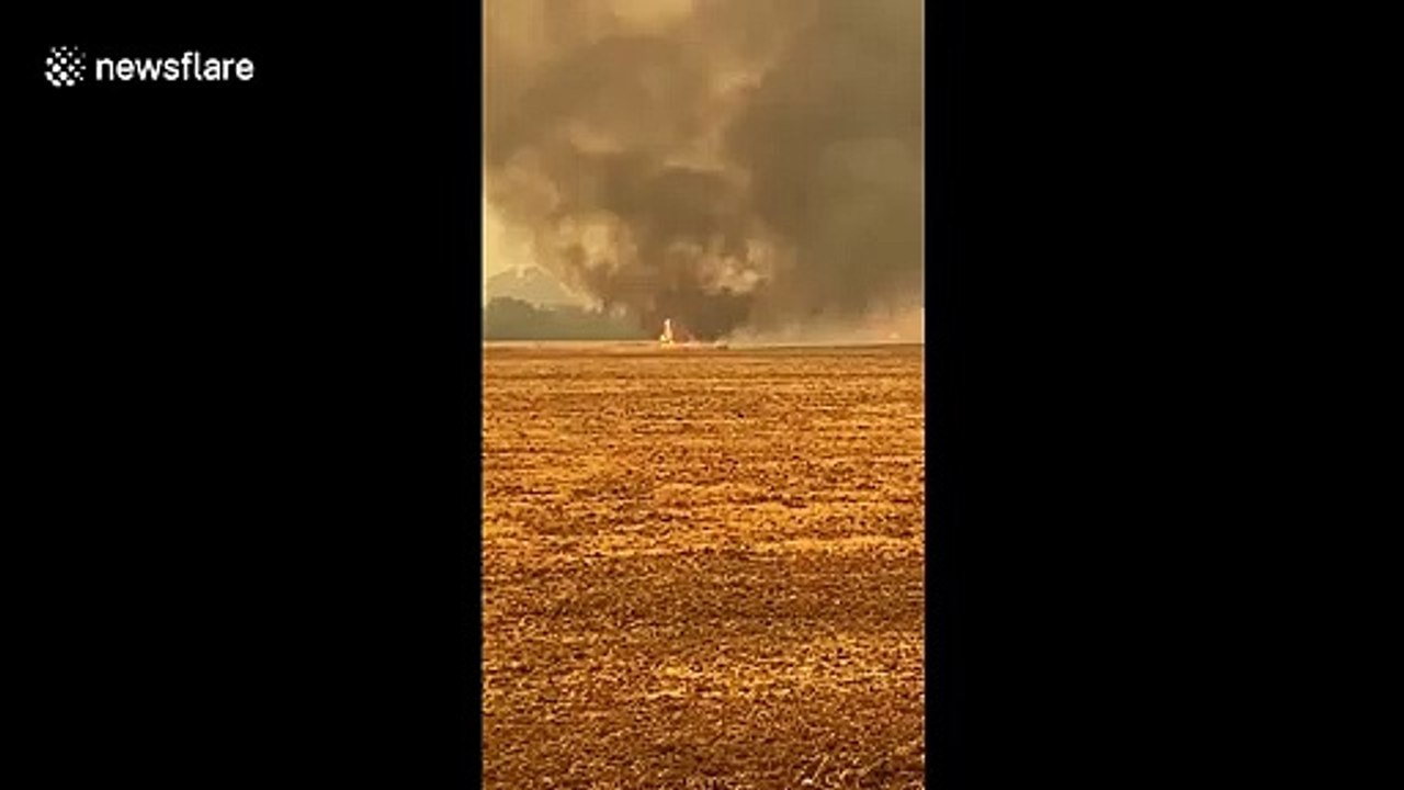 Fire tornado phenomenon circulates blaze across Northern California's Pleasant Valley