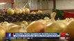 Onions linked to salmonella outbreak