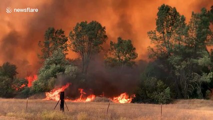 Napa County engulfed in flames; Wine Country has immediate threat to life and property