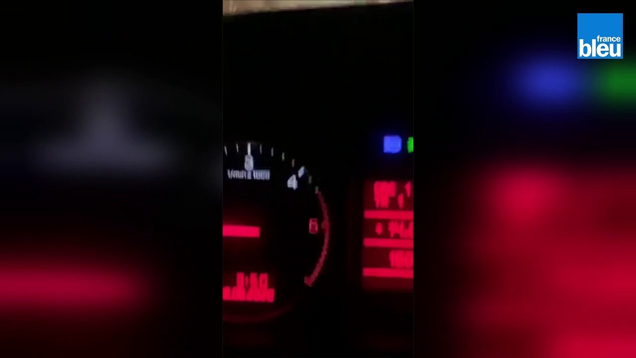 INSOLITE  I Un wallaby en promenade près de Rennes.