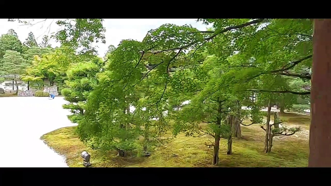 ＃４　Take a walk through Ninna-ji, one of  japan's world heritage sites