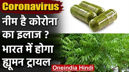 Coronavirus: India में Neem Capsule का Human Body पर ट्रायल,AIIA-ESIC के बीच समझौता वनइंडिया हिंदी