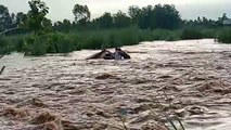 बिजनौर पानी के बहाव में पिकअप वाहन चालक की डूबने से मौत