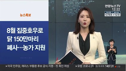 [사이드뉴스] '아파트값 급등' 세종, 주택담보대출 증가율 1위 外