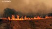 فيديو: مئات الحرائق تجتاح كاليفورنيا وتجبر الآلاف على الفرار من منازلهم