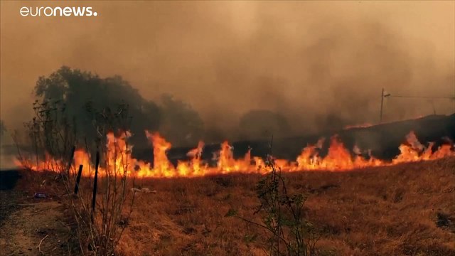 فيديو: مئات الحرائق تجتاح كاليفورنيا وتجبر الآلاف على الفرار من منازلهم