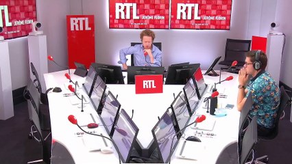 Les frelons asiatiques sont-ils vraiment dangereux ?