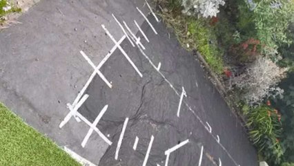 Elle se réveille et voit que le gazon de son jardin a disparu