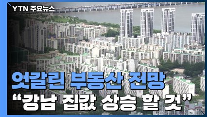 "다발적 주택 정책 과해...하반기 강남 집값 더 뛸 것" / YTN