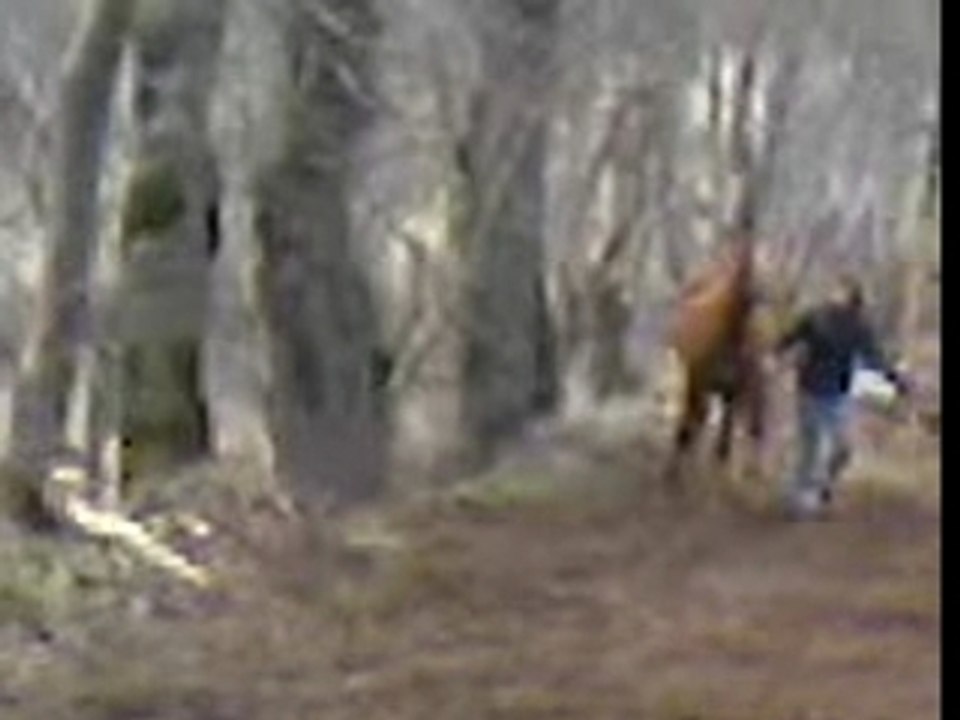 Vidéo0001