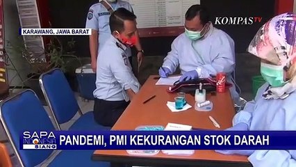 Pandemi Corona, PMI Kini Kekurangan Stok Darah
