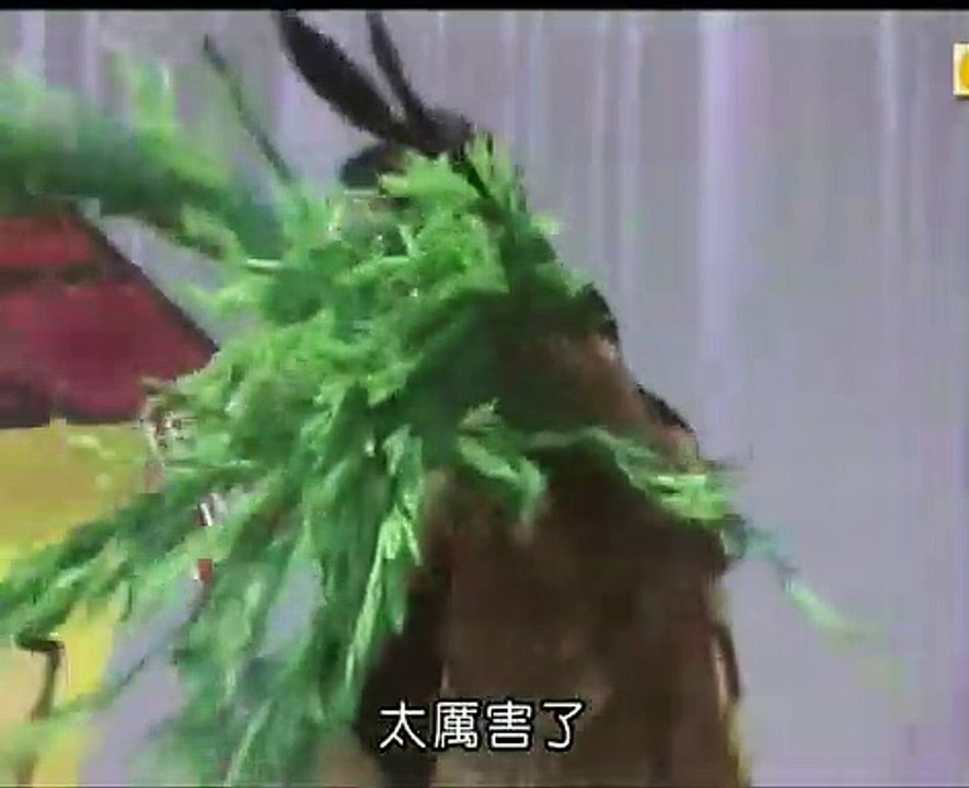 16回31番 台風