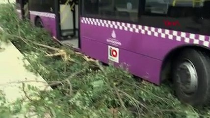 Küçükçekmece'de iett otobüsü refüjdeki ağaca böyle çarptı