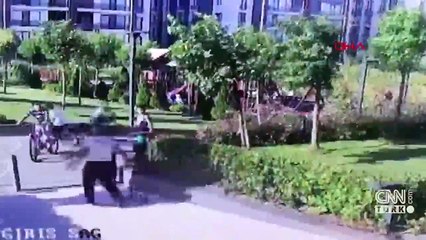 Köpeğini sevdi diye çocuğu tartakladı | Video