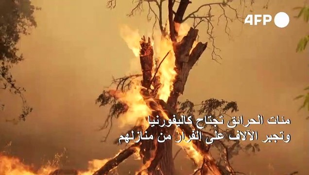 مئات الحرائق تجتاح كاليفورنيا وتجبر الآلاف على الفرار من منازلهم