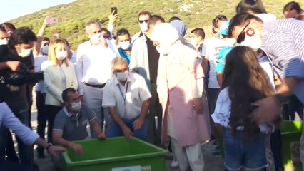 Bakan Kurum ve Emine Erdoğan, deniz kaplumbağalarını denizle buluşturdu