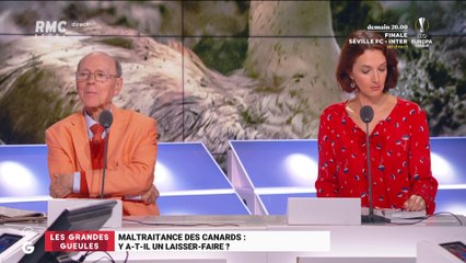 Maltraitance des canards : y a-t-il un laisser-faire ? - 20/08