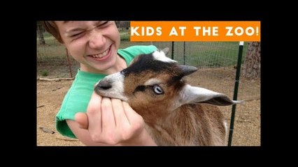 Cutest Kids at the Zoo Compilation 2017 _ Funny Pet Videos