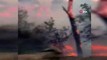 ABD’de orman yangınlarına müdahale eden helikopter düştü, pilot öldü