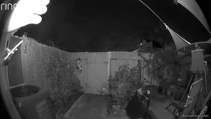 Intruders Scared Away by Angry Homeowner