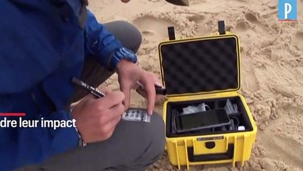 Deux étudiants à la chasse aux microplastiques sur le littoral aquitain