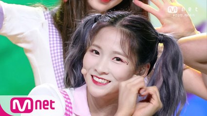 '체리블렛'의 청량 써머송♬ '알로하오에(Aloha Oe)' 무대